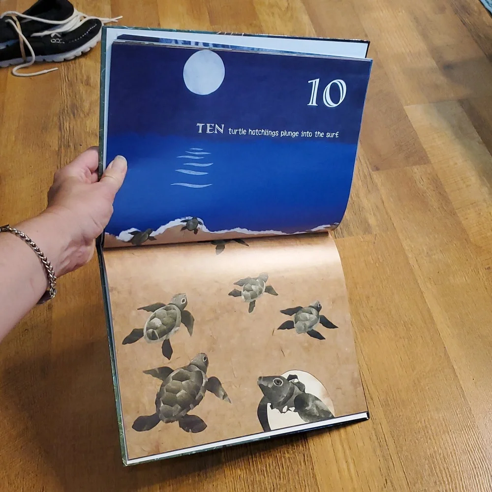 One Nighttime Sea Book‎ by Deborah Lee Rose Hardcover Counting Book